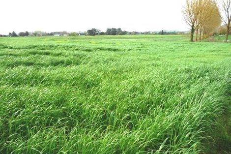 Photo of property in 155 Old Taupo Road, Arapuni, Putaruru, 3481