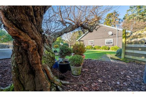 Photo of property in 100 Oak Street, Orari, Geraldine, 7992