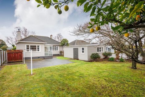 Photo of property in 17 Webb Street, Terrace End, Palmerston North, 4410