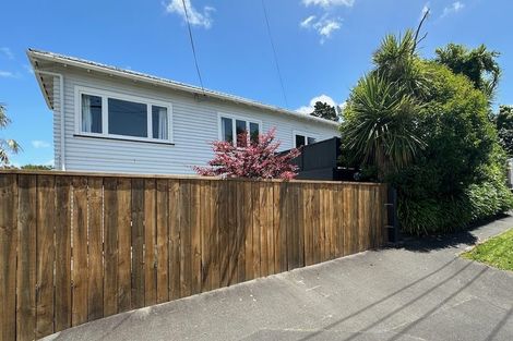 Photo of property in 161 Rimu Street, Maeroa, Hamilton, 3200