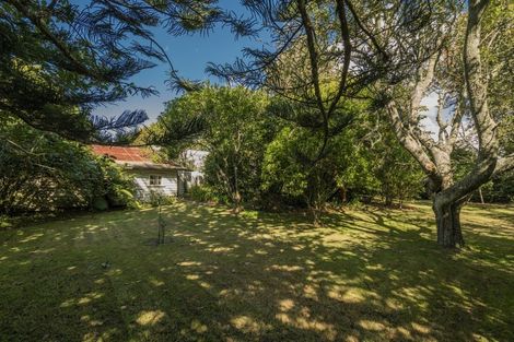 Photo of property in 79 Hot Water Beach Road, Purangi, Whitianga, 3591