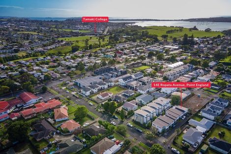 Photo of property in 14e Ropata Avenue, Point England, Auckland, 1072
