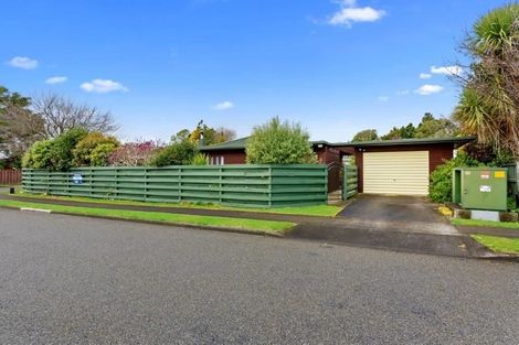 Photo of property in 2 Halsey Street, Levin, 5510
