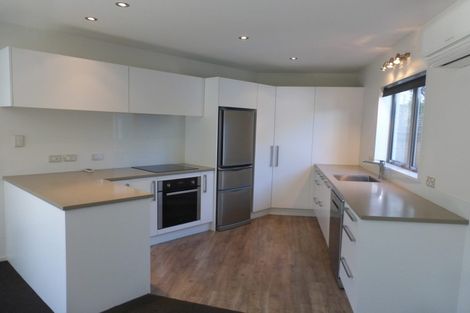 Photo of property in 48a Dickens Street, Addington, Christchurch, 8024