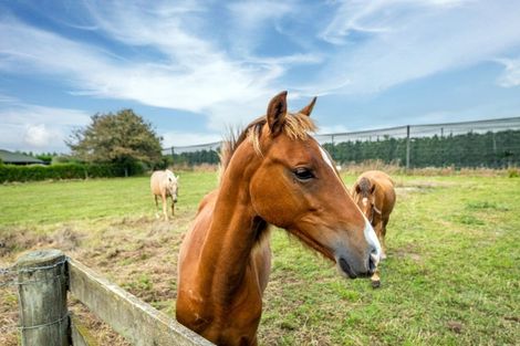 Photo of property in 193 Kerrytown Road, Kerrytown, Timaru, 7975