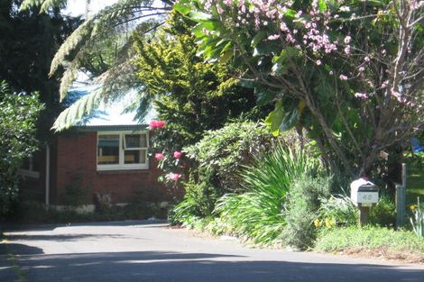 Photo of property in 45 Wellesley Grove, Gate Pa, Tauranga, 3112