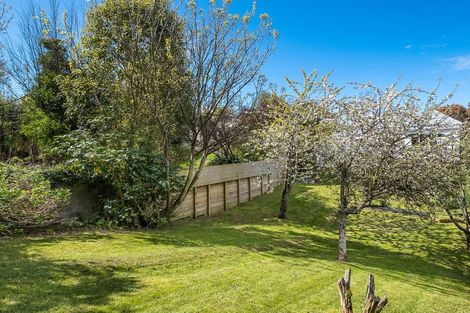 Photo of property in 19 Jellicoe Crescent, Kaikorai, Dunedin, 9010