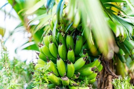 Photo of property in 7 Te Opi Road East, Whakapirau, Maungaturoto, 0583