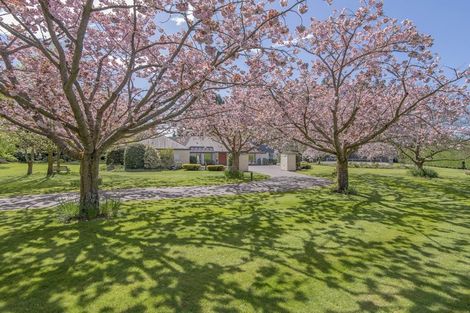 Photo of property in 101 Mchughs Road, Swannanoa, Kaiapoi, 7692