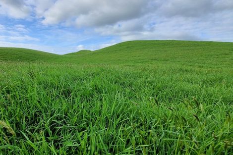 Photo of property in 165 Kereru Road, Glen Massey, Ngaruawahia, 3794