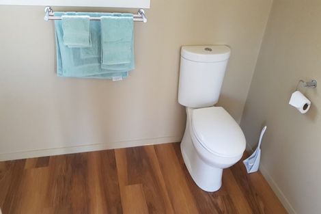 Photo of property in 4 Russell Street, Okarito, Whataroa, 7886