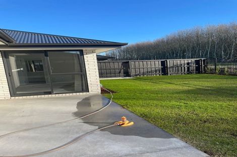 Photo of property in 8 Pip Lane, Belfast, Christchurch, 8051