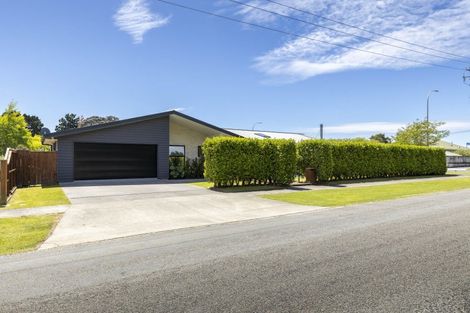 Photo of property in 1 Armstrong Avenue, Waitara, 4320