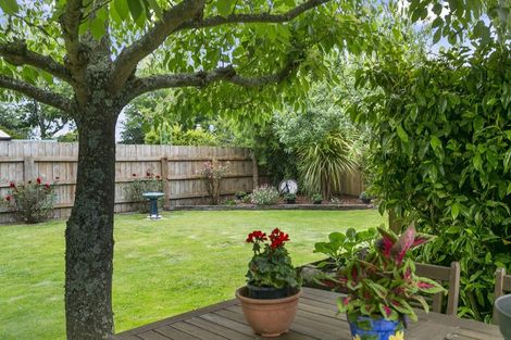 Photo of property in 6 Buckland Place, Cambridge, 3434