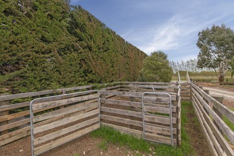 Photo of property in 131 Karanga Road, Dunsandel, Leeston, 7682