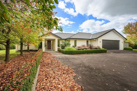 Photo of property in 105 Pharazyn Street, Feilding, 4702