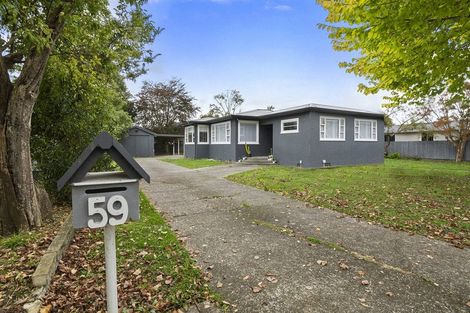 Photo of property in 59 Birmingham Street, Takaro, Palmerston North, 4412