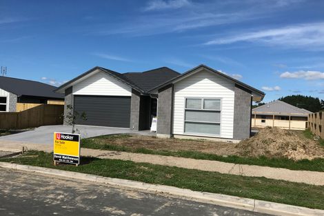 Photo of property in 28 Materawaho Way, Pyes Pa, Tauranga, 3112