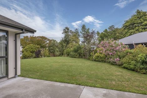 Photo of property in 45 Banks Avenue, Dallington, Christchurch, 8061