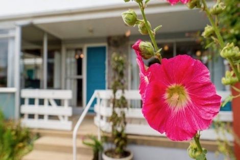 Photo of property in 1/20 Ings Avenue, Saint Clair, Dunedin, 9012