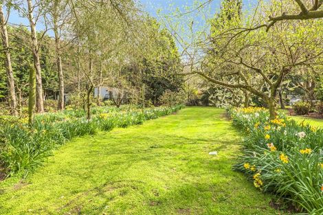 Photo of property in 53 Prossers Road, Leeston, 7682