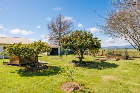 Photo of property in 485 Poplar Road, Opiki, Palmerston North, 4474