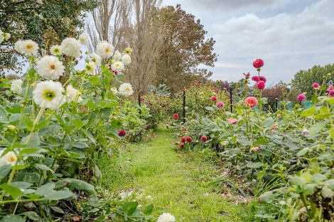 Photo of property in 47a Walters Road, Karaka, Papakura, 2580