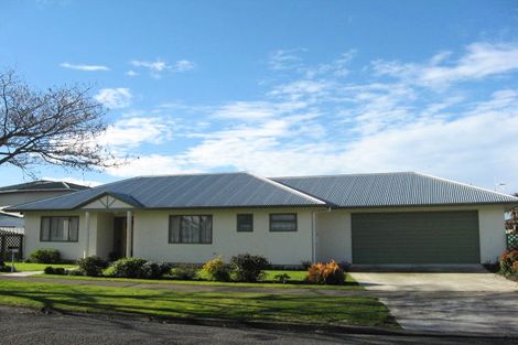 Photo of property in 437 Hemi Street, Raureka, Hastings, 4120