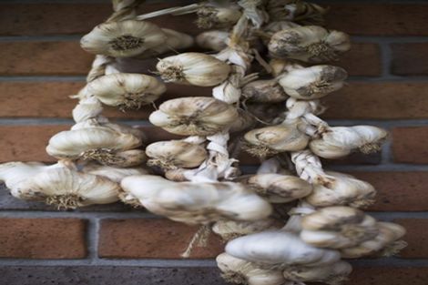 Photo of property in 17 Pekanga Drive, Fox Glacier, 7886