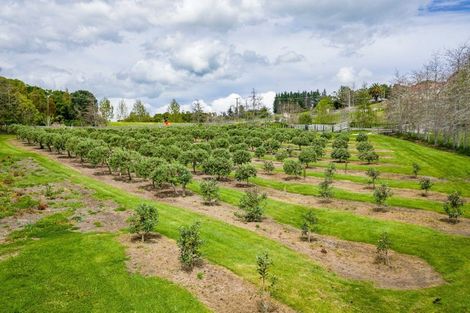 Photo of property in 64 Matakohe Road East, Matakohe, 0593