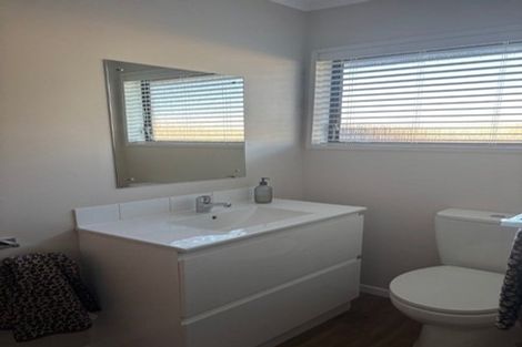 Photo of property in 17 Mcarthur Street, Terrace End, Palmerston North, 4410