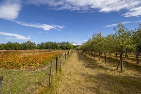 Photo of property in 83 Boundary Road, Upper Plain, Masterton, 5888