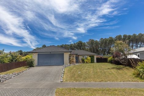 Photo of property in 60 John Norrie Place, Motuoapa, Turangi, 3382