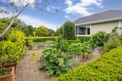 Photo of property in 60 Lamb Street, Leamington, Cambridge, 3495