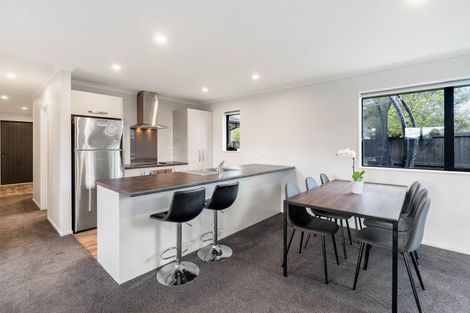 Photo of property in 32 Foxbridge Lane, Lincoln, 7608