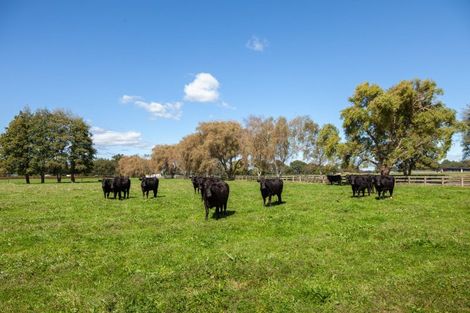 Photo of property in Taihoa Road South, Matamata, 3473