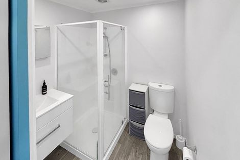 Photo of property in 43 Tauhinu Road, Miramar, Wellington, 6022