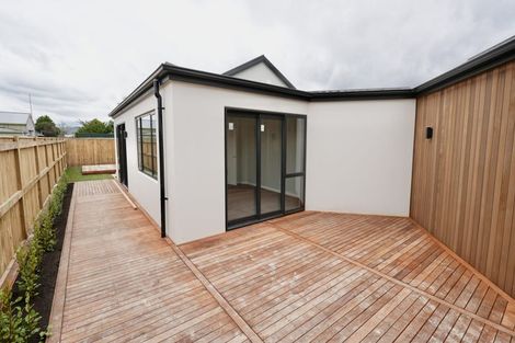 Photo of property in 17c Brightwater Terrace, Terrace End, Palmerston North, 4410
