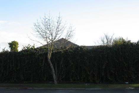 Photo of property in 217 Fox Street, Hamilton East, Hamilton, 3216