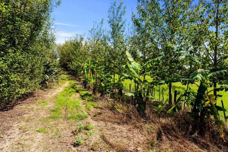 Photo of property in 267 Hartnell Road, Waiotira, 0193