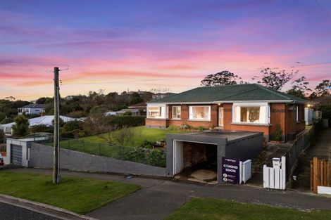 Photo of property in 21 Harrington Street, Port Chalmers, 9023