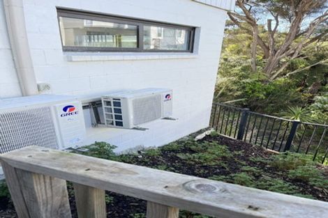 Photo of property in 20 Waka Street, Albany Heights, Auckland, 0632