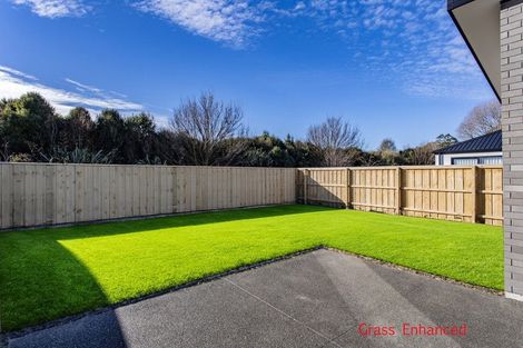 Photo of property in 43 Henshaw Street, Woodend, 7610