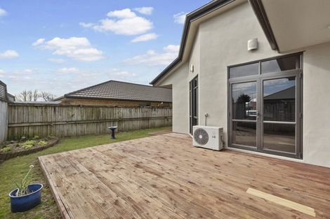 Photo of property in 14 Thistlewood Avenue, Hamilton East, Hamilton, 3216