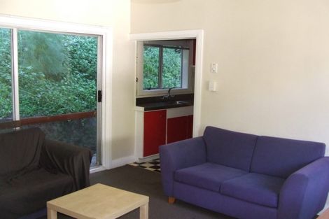 Photo of property in 66 Holloway Road, Aro Valley, Wellington, 6021