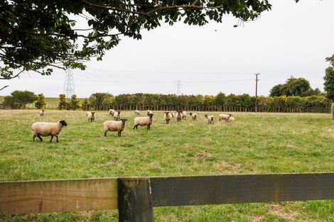 Photo of property in 232 Nannestads Line, Bunnythorpe, Feilding, 4775