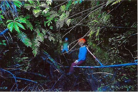 Photo of property in 756a Rutherglen Road, Marsden, Greymouth, 7872
