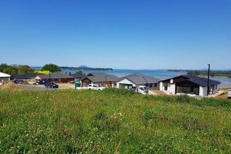 Photo of property in 50 Bert Wall Drive, Omokoroa, 3114