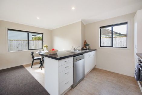 Photo of property in 31a Hulme Street, Roslyn, Palmerston North, 4414