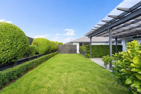 Photo of property in 9 Audrey Place, Flagstaff, Hamilton, 3210